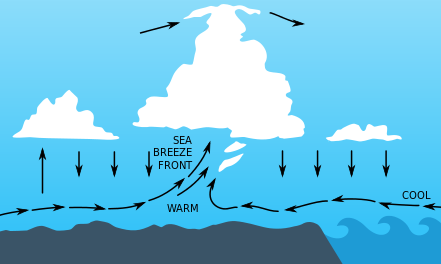 Sea Breeze Thunderstorms - Image credit FAA